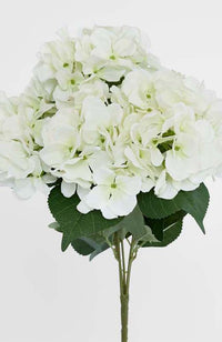 Hydrangea Bundle 55cm - White