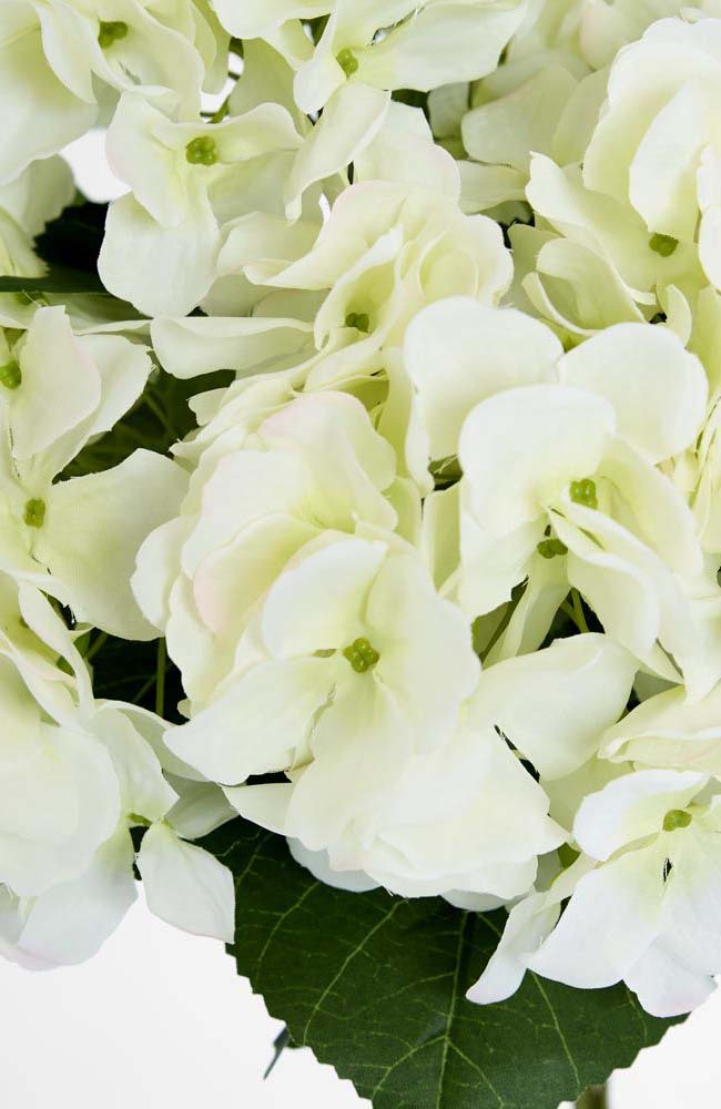 Hydrangea Bundle 55cm - White