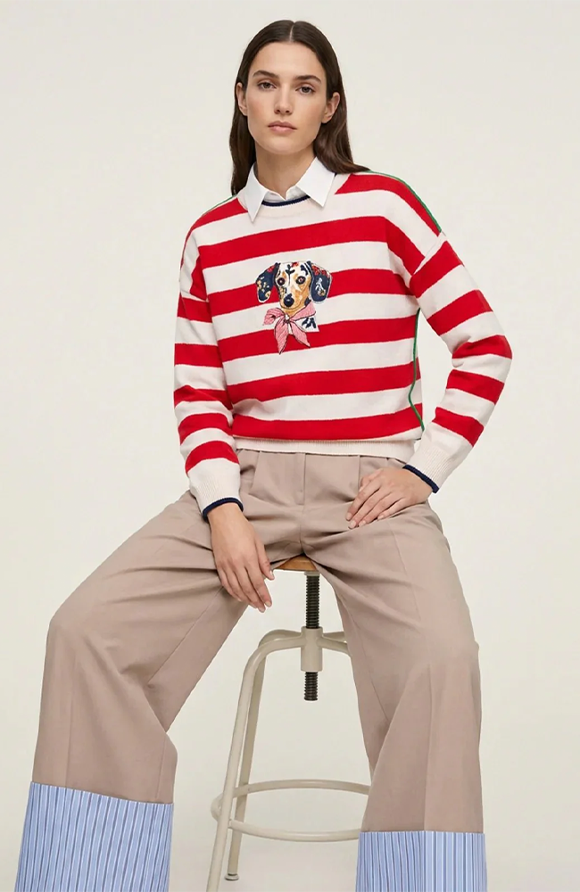 Dog Sweater - Navy & Red Stripes