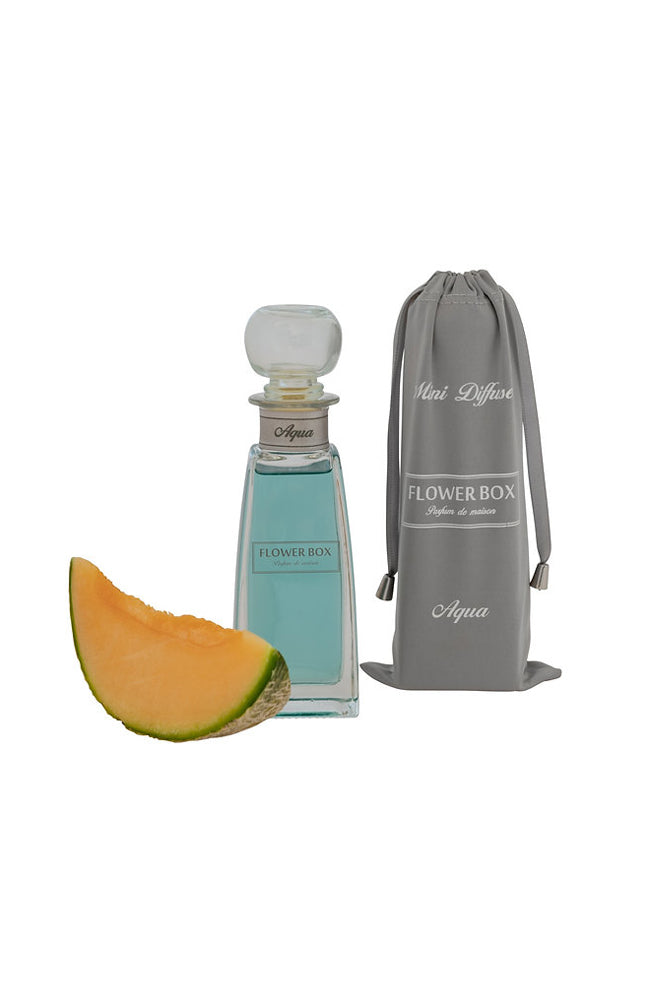 Mini Diffuser Limited Edition - Aqua 100ml