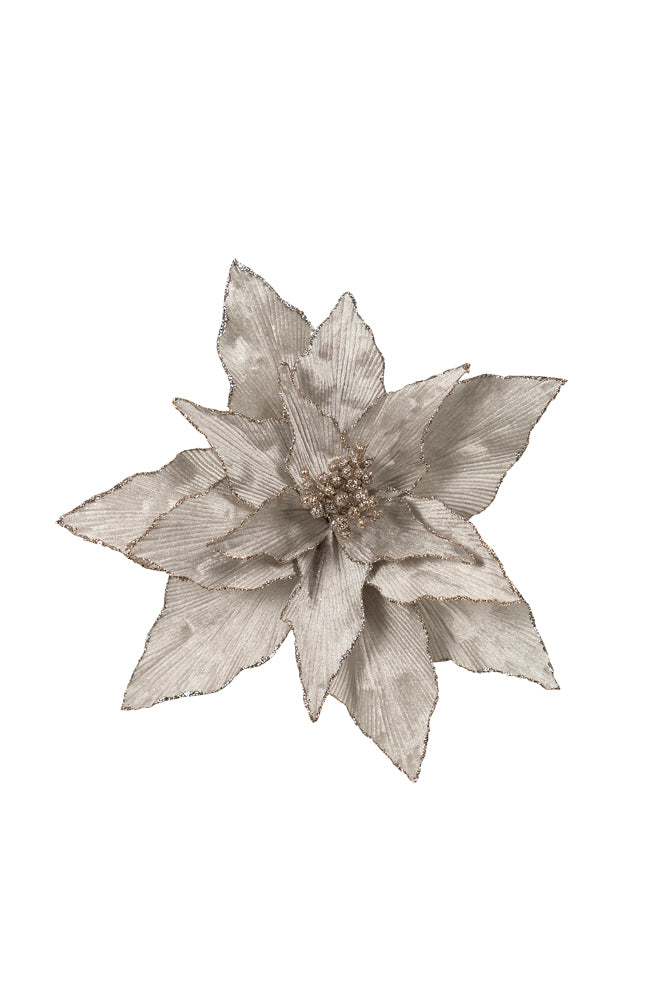 Poinsettia Silver Glitter Edge