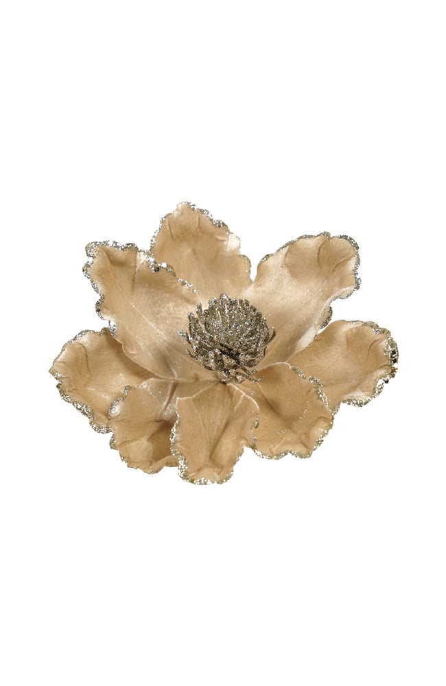 Magnolia Flower Champagne Glitter Edge
