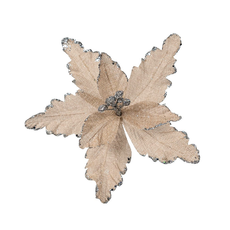 Clip On Poinsettia Natural Silver Edge