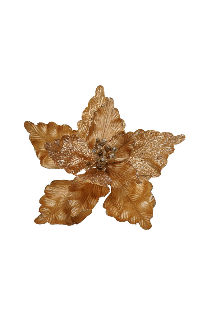 Poinsettia Dark Gold Edge