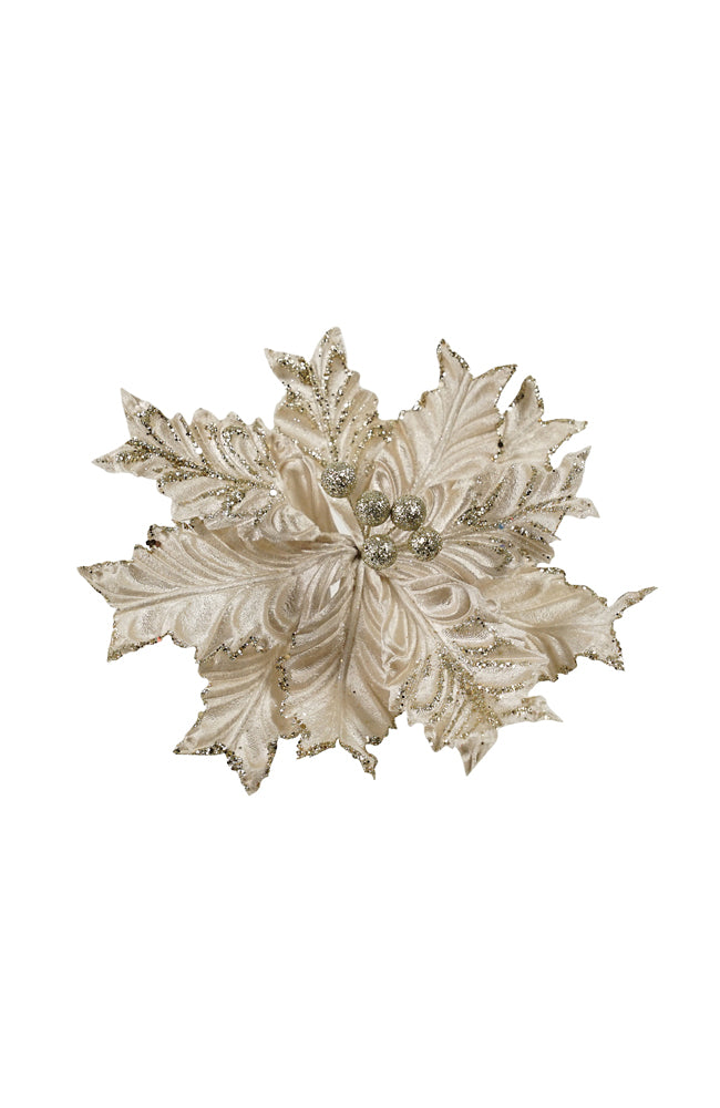 Poinsettia Crinkle Champagne