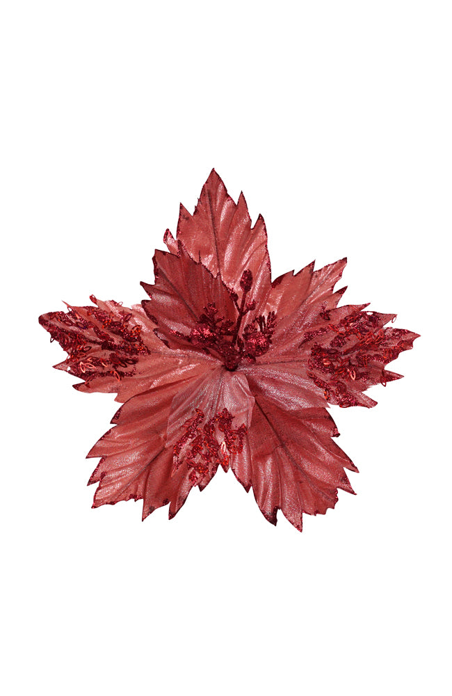 Poinsettia Dark Pink Flower