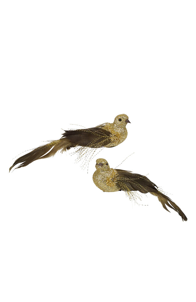 Ombre Bird Gold (Clip On) - price per bird
