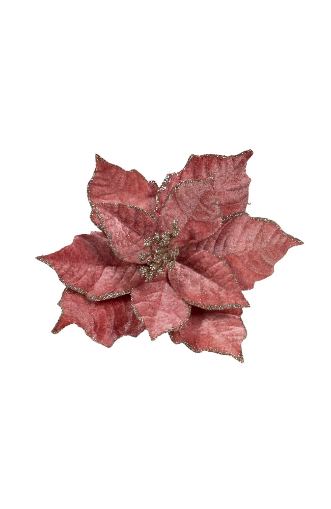 Poinsettia Dark Pink