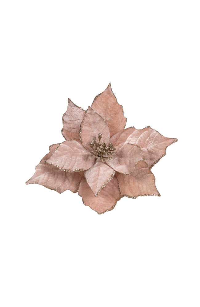 Poinsettia Light Pink Clip On