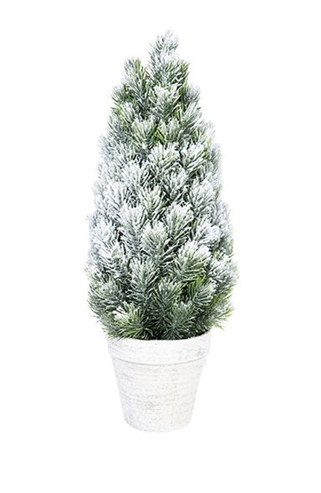 Potted Pine Large White